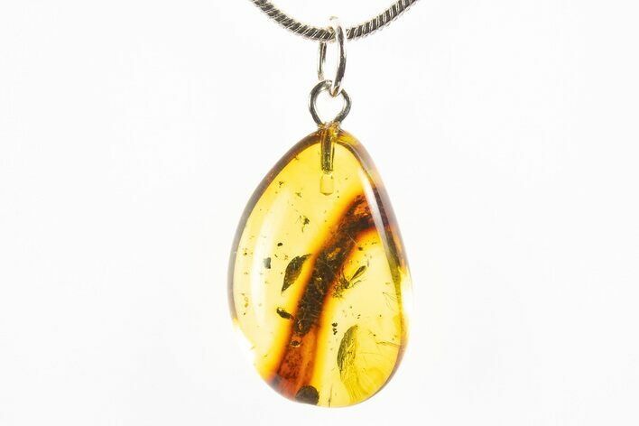 Polished Baltic Amber Pendant (Necklace) - Contains Fly & Beetle! #312226